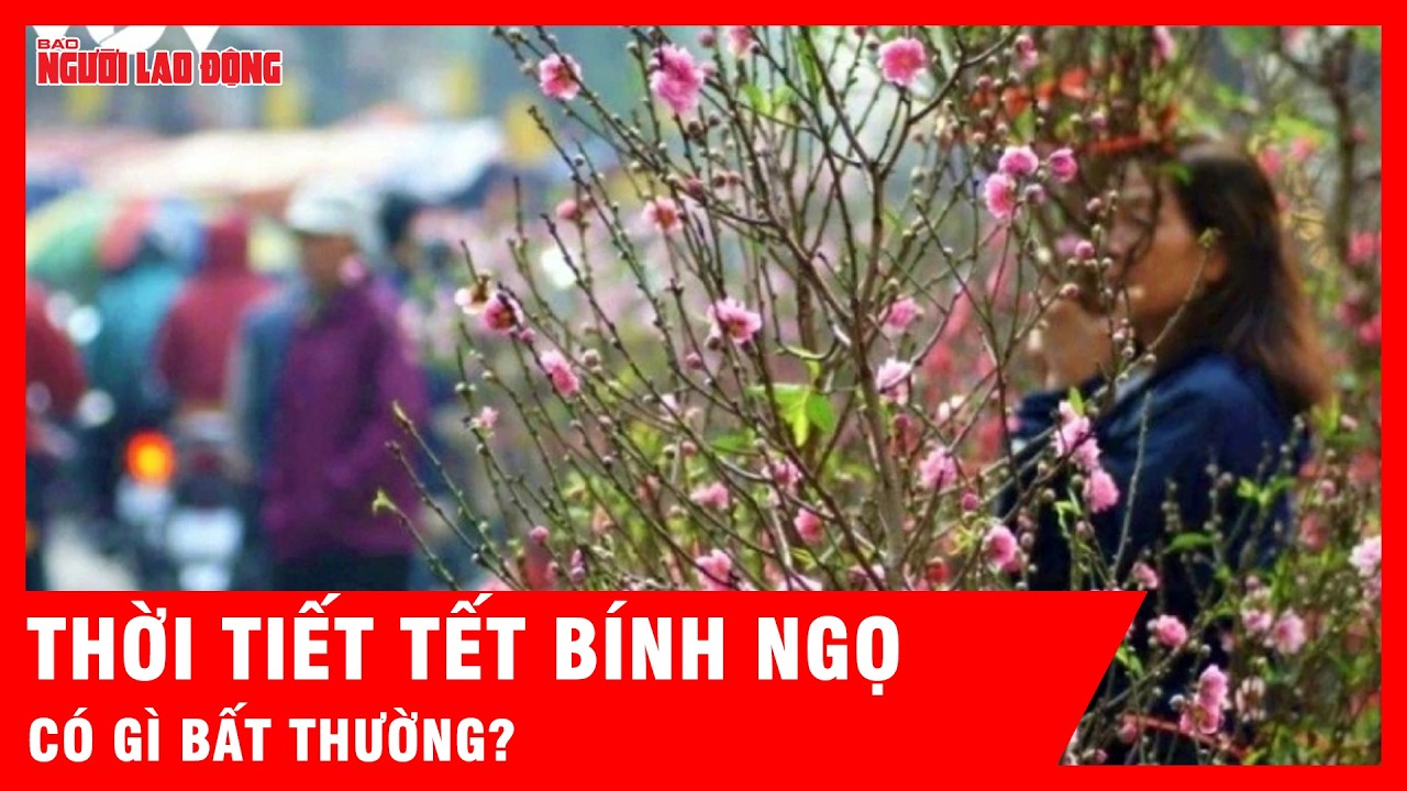 Thời tiết Tết B&iacute;nh Ngọ 2026 c&oacute; g&igrave; bất thường? | Tin tức