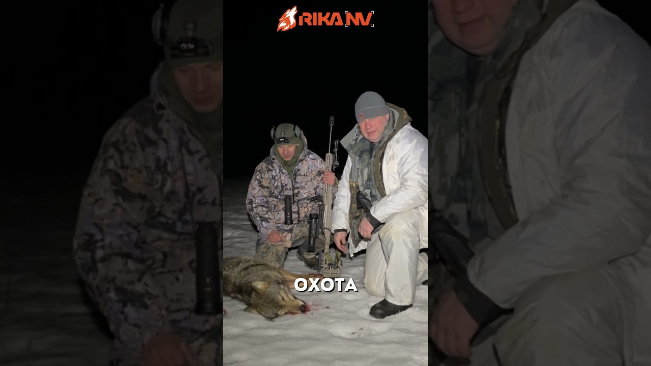 Выстрел в темноте: как RikaNV Lesnik2 650L помог поймать волка