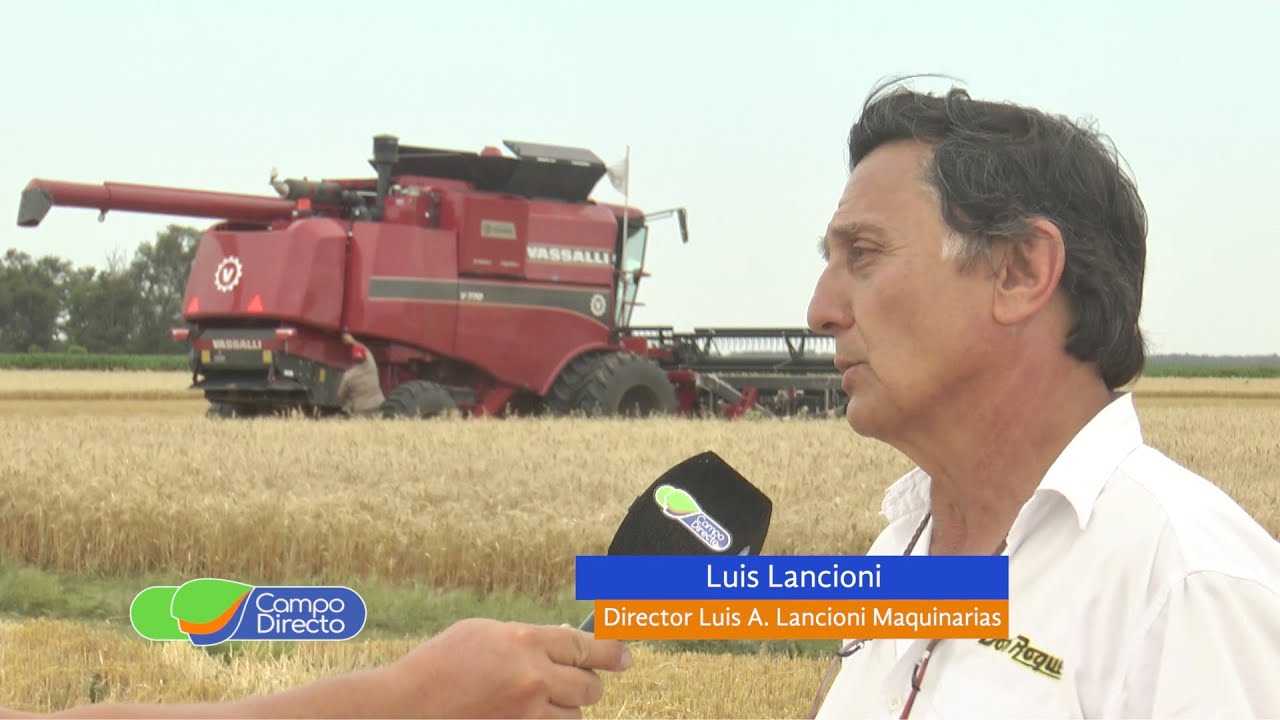 Probamos la nueva Vassalli 770 en trigo