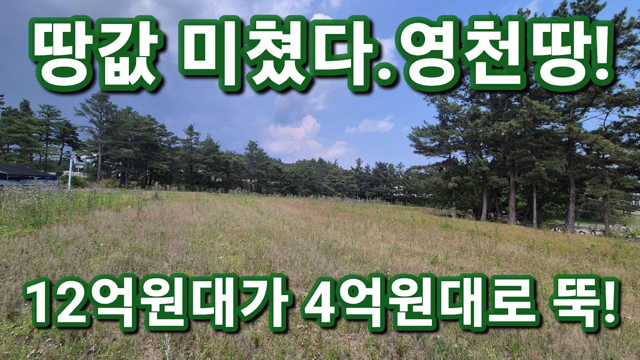 [낙찰]영천시 임고면 12억원대에서 4억원대 법원경매로 나온 황강리 효리 2538평 2차선 도로 잘 접한 영천땅 보러오세요