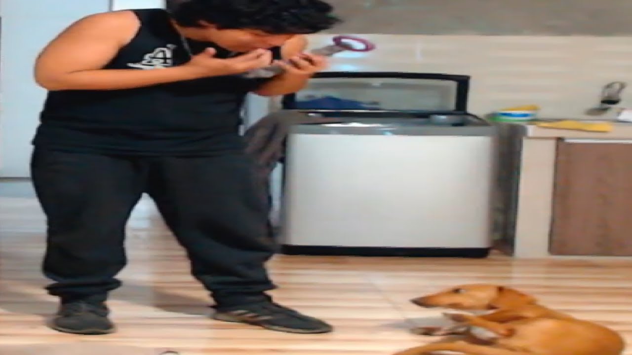 Moka deja en la ruina a grifvoid