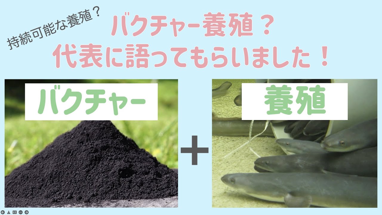 【つやま青うなぎ】バクチャーを使った養殖とは？