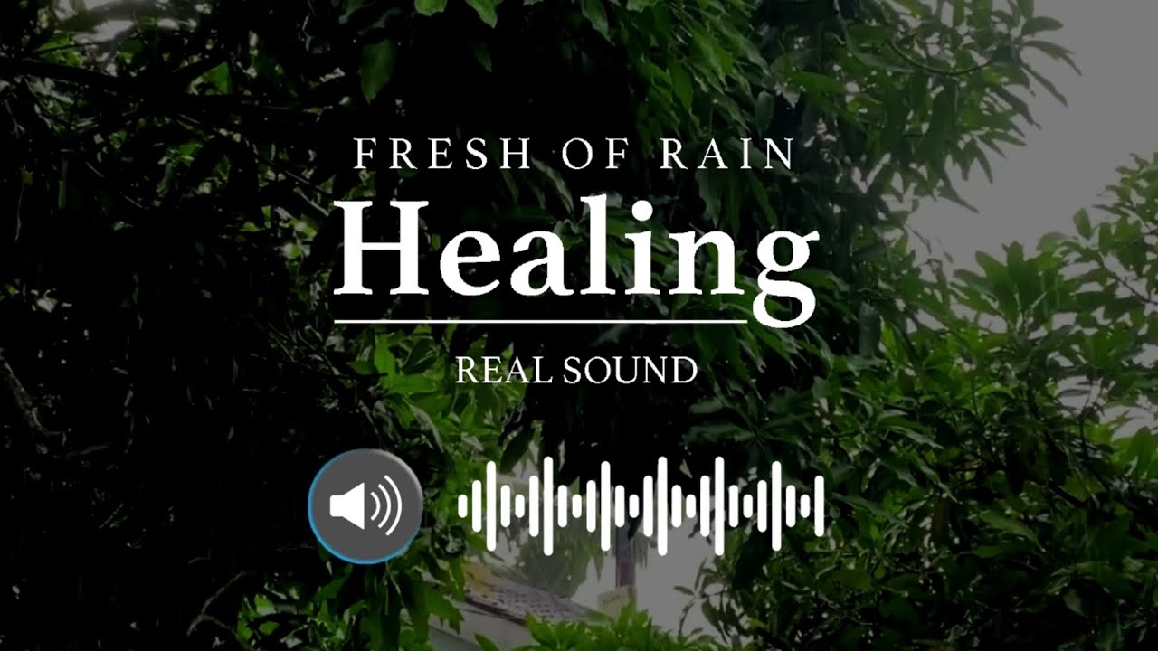 HEALING OF RAIN. The most natural and comfortable white noise to listen to was the sound of rain.