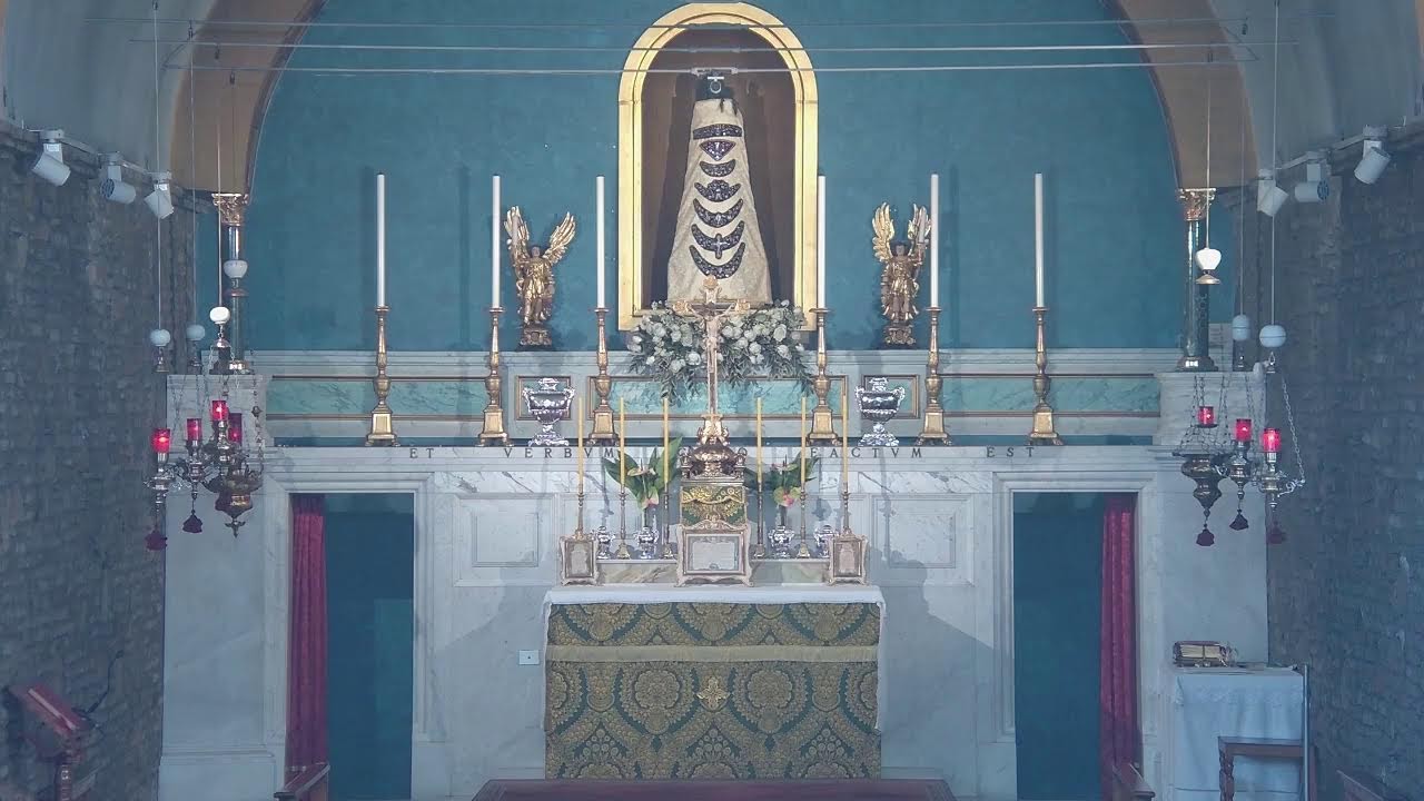 XXIV (e ultima) Domenica dopo Pentecoste - Santa Messa cantata - FSSPX Italia