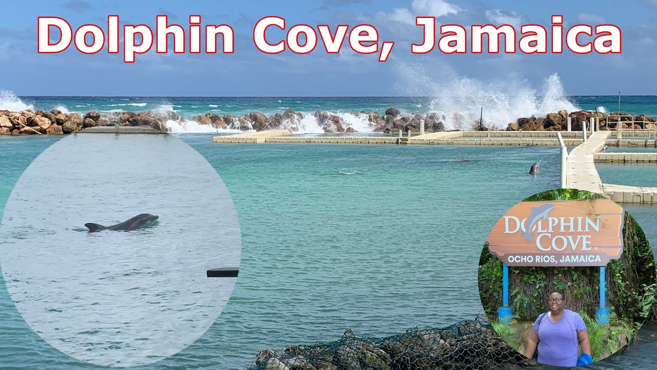 Dolphin Cove, Ocho Rios Jamaica | Sight Seeing | Departing Jamaica 12/01/22