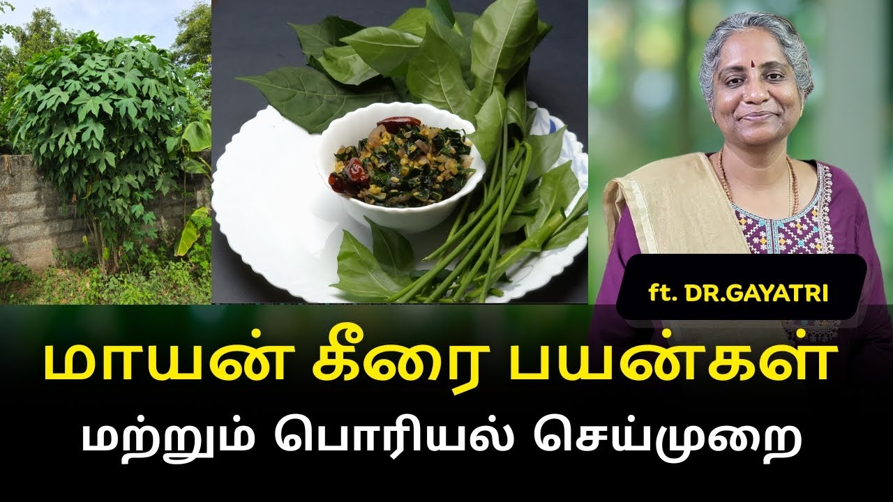 மாயன் கீரை பொரியல் | Maayan Keerai Benefits + Poriyal Recipe  | Healthy Keerai Recipe - Dr.Gayatri