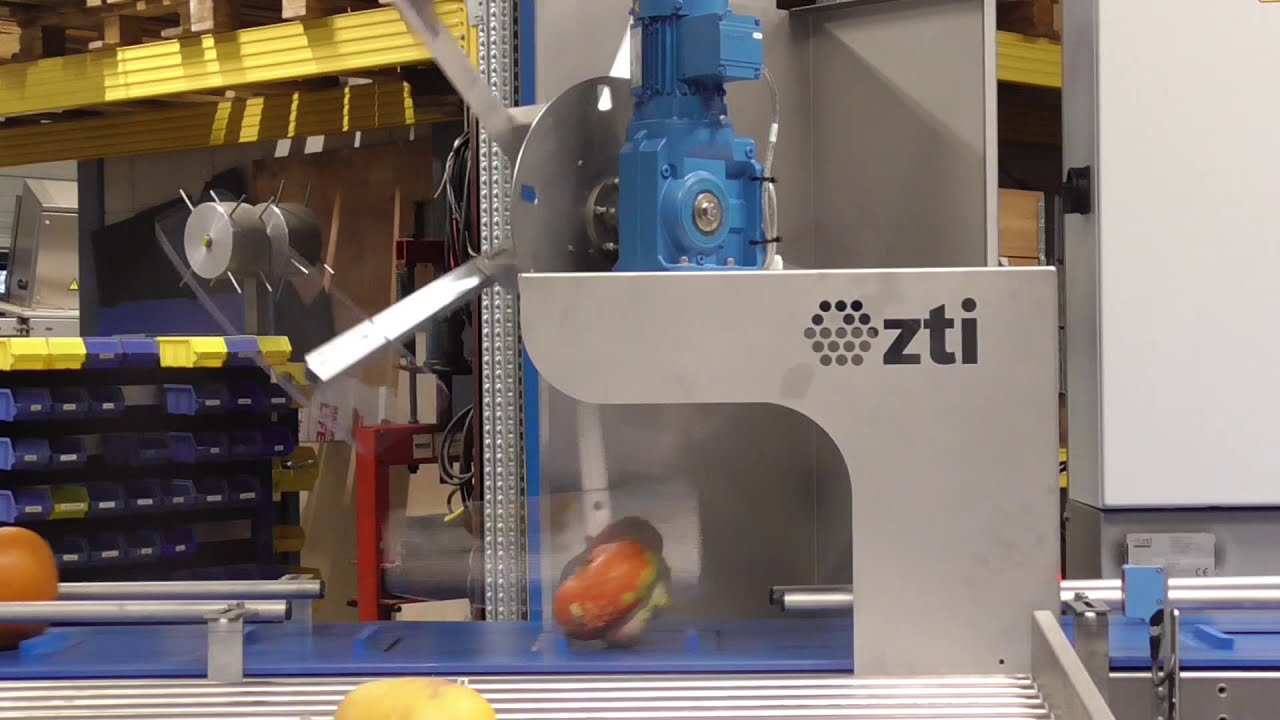 ZTI Sorting Line Pumpkin
