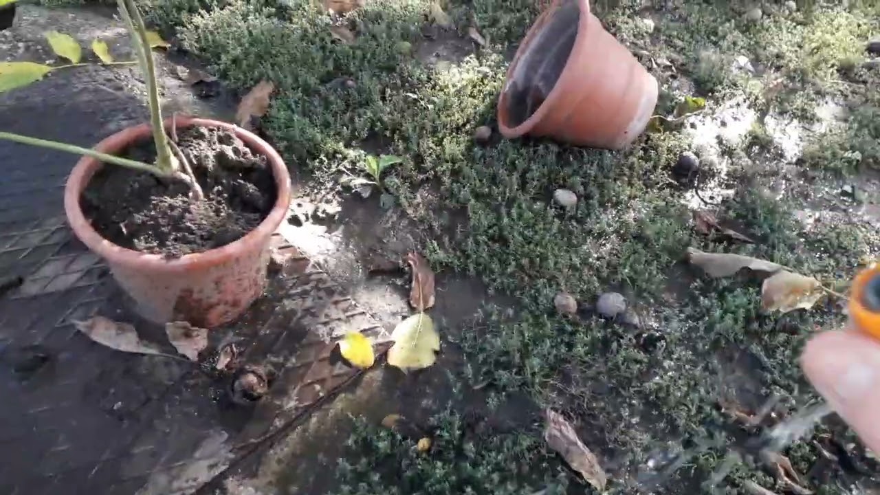 Totya kazán..fűtésrendszer föltöltése vízzel...