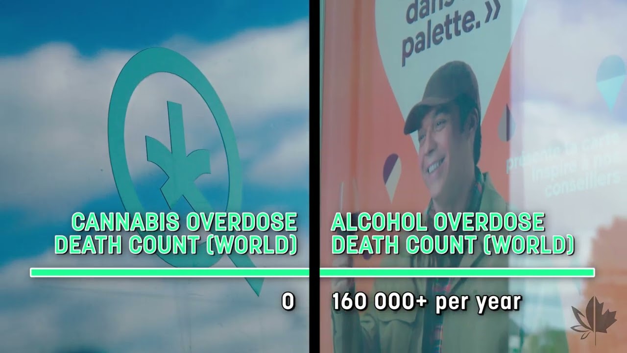 Anti Cannabis Stigma Campaign | CanEmpire October 2022