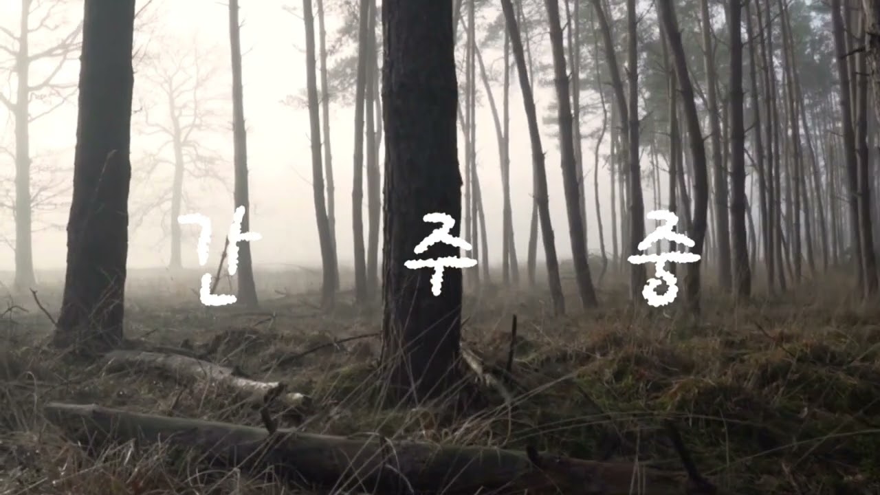 인생소풍.나훈아