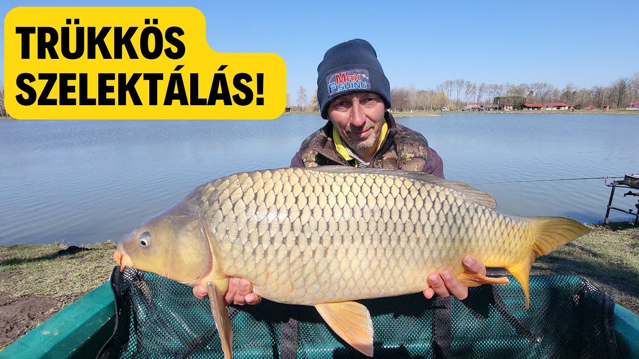 Trükkös szelektálás!