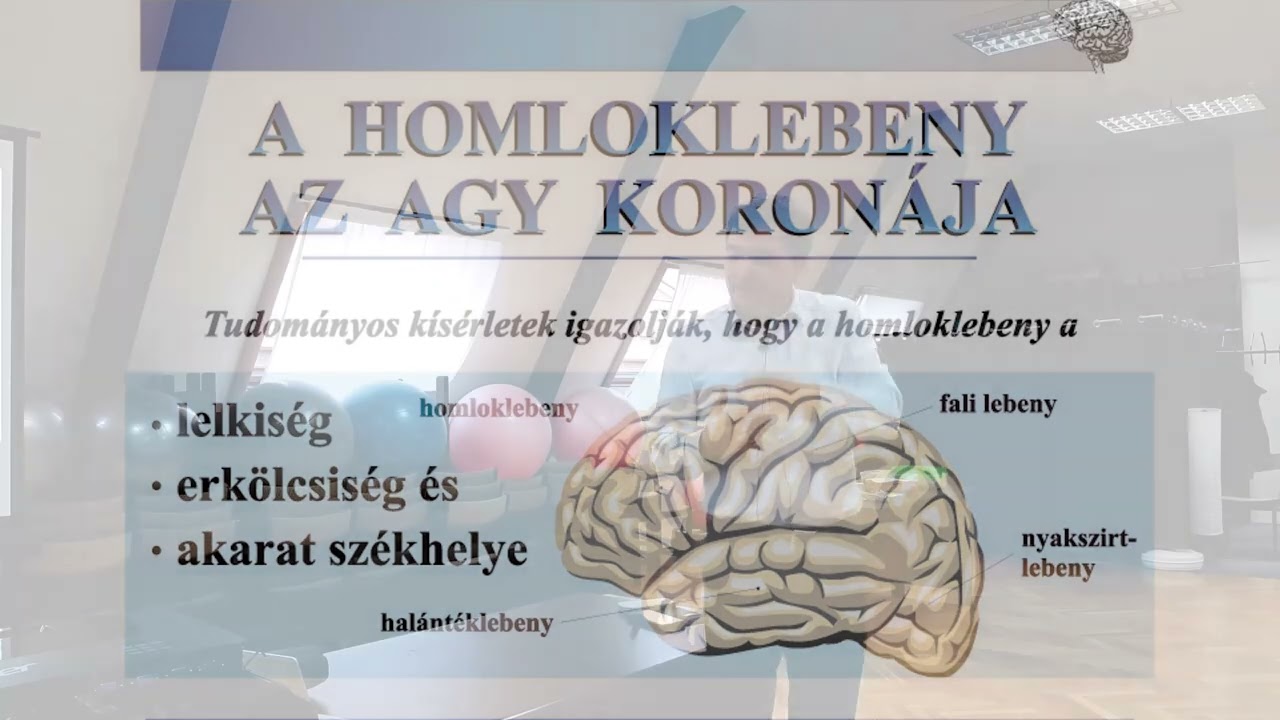Végh József: Személyiségünk titkai - a homloklebeny működése