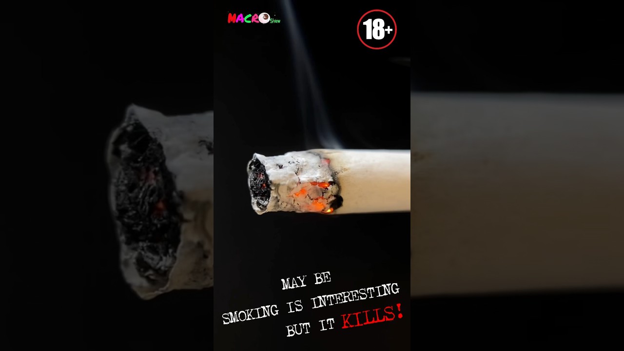 Asmr smoking