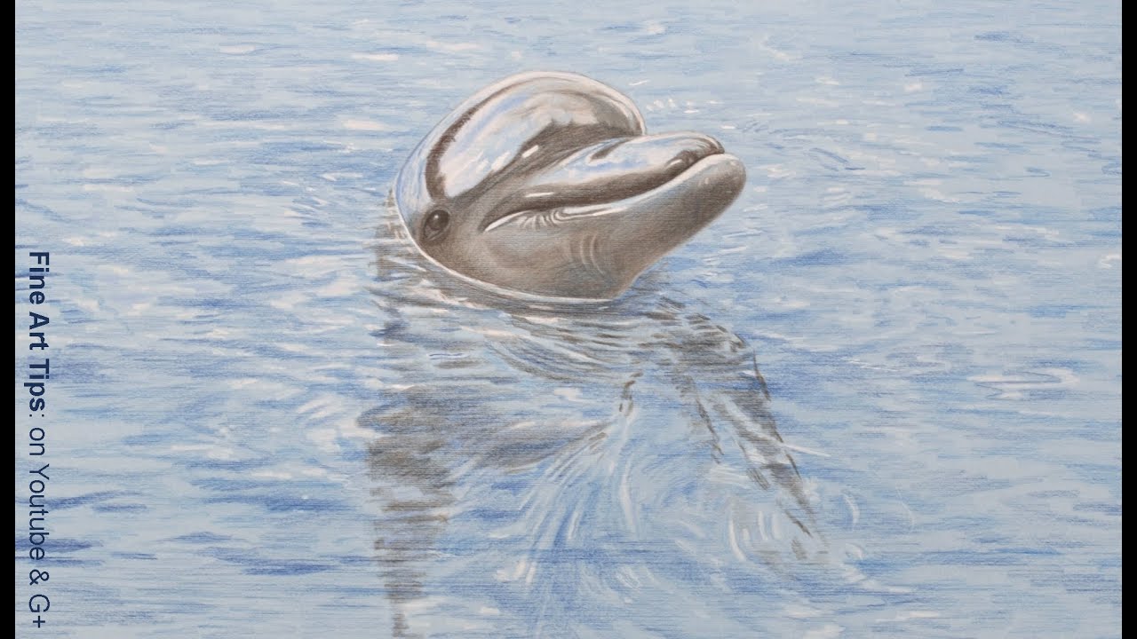 How to Draw a Dolphin With Color Pencils