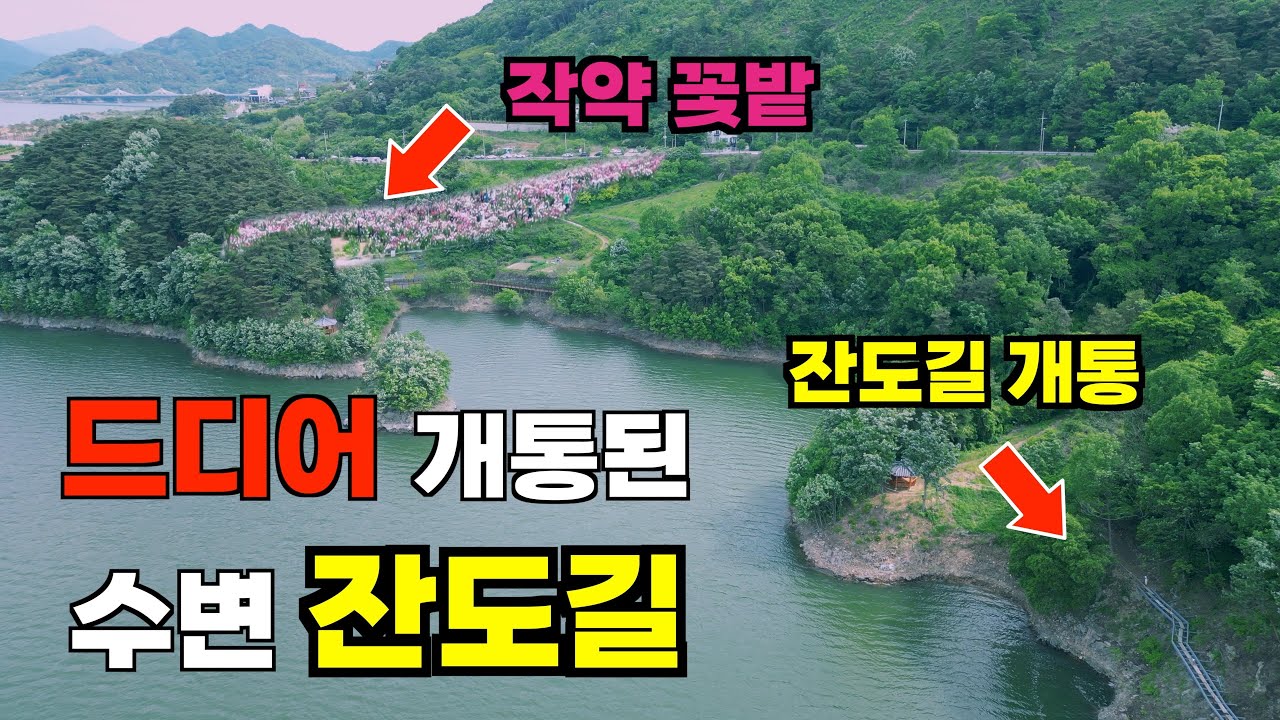 임실 옥정호 물안개길과 운종리 작약꽃밭 | 잔잔한 물결 위로 피어나는 물안개와 수채화 속 한 장면처럼 고요한 아름다움을 간직한 곳