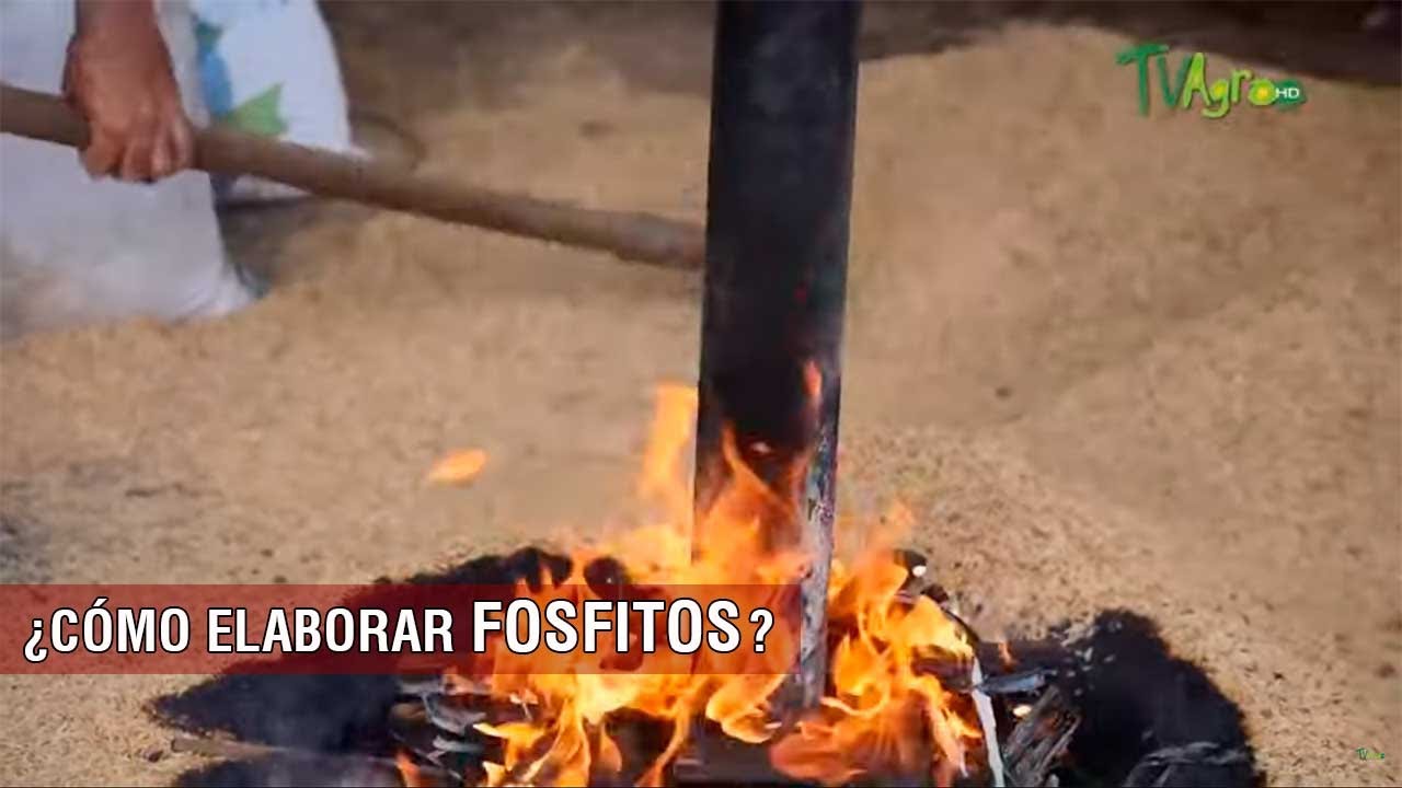 Cómo elaborar fosfitos - TvAgro por Juan Gonzalo Angel Restrepo