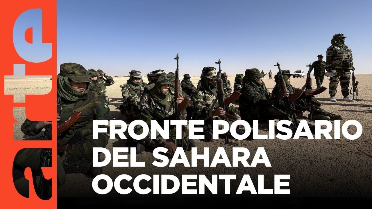 Sahara occidentale: i combattenti del deserto | ARTE Reportage | ARTE.tv Documentari