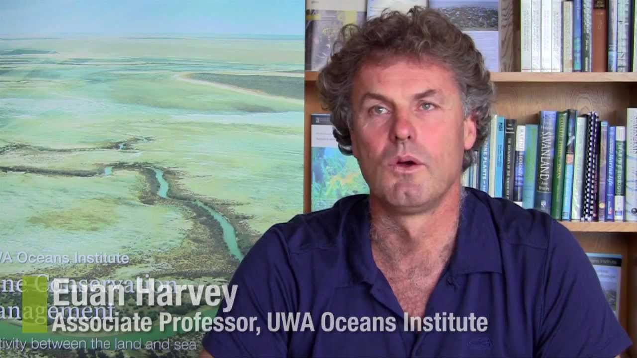 UWA Science majors: Marine Science