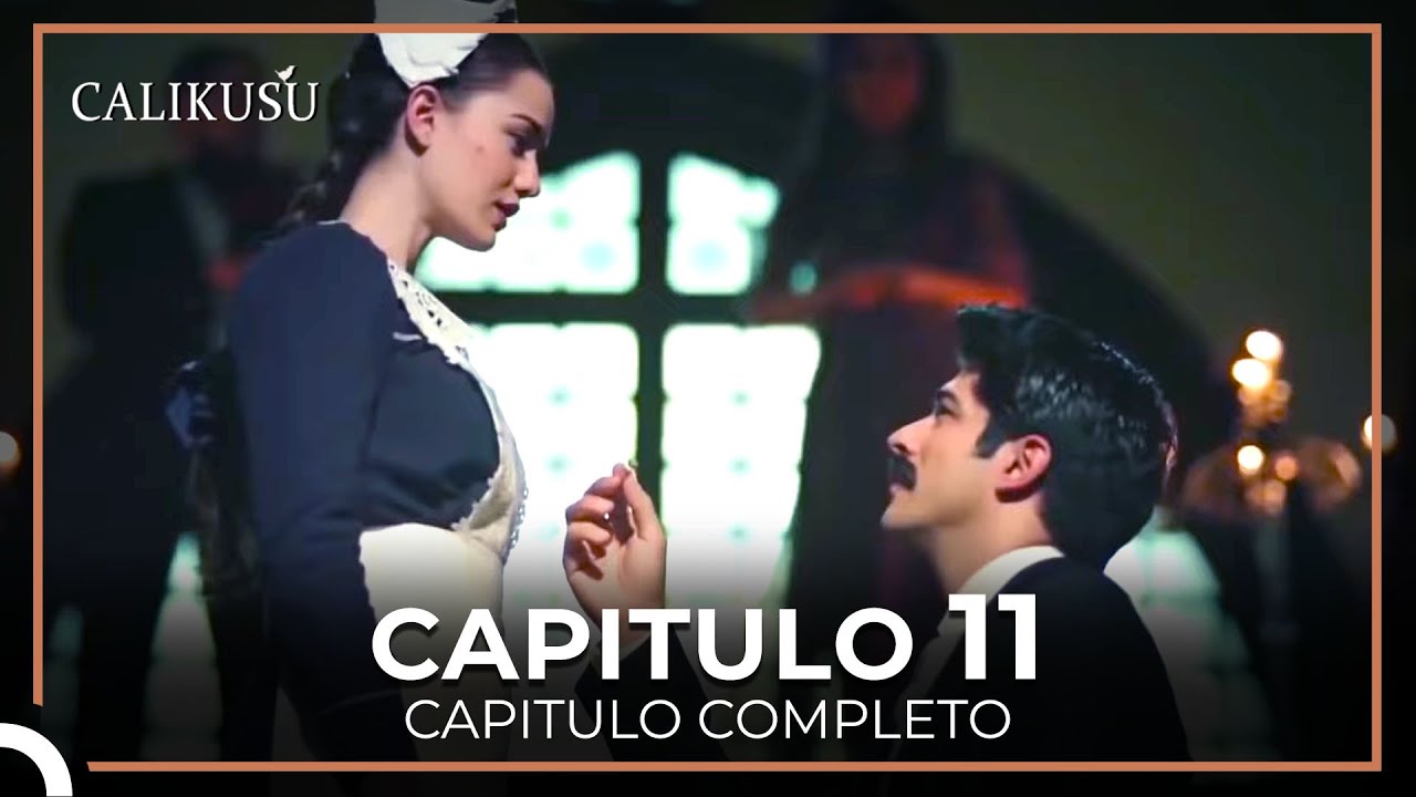 Calikusu Capitulo 11