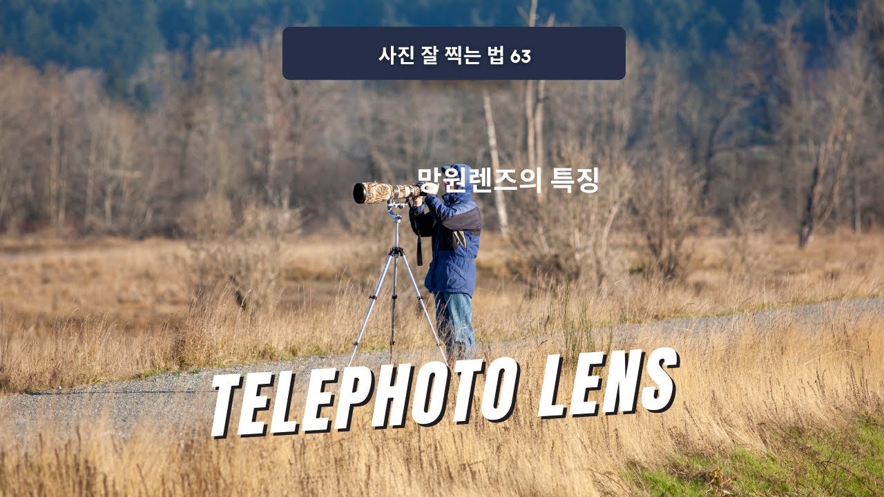 사진 잘 찍는 법 63 망원렌즈의 특징