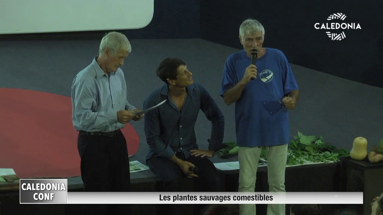 CALEDONIA CONFERENCE : Les plantes sauvages comestibles