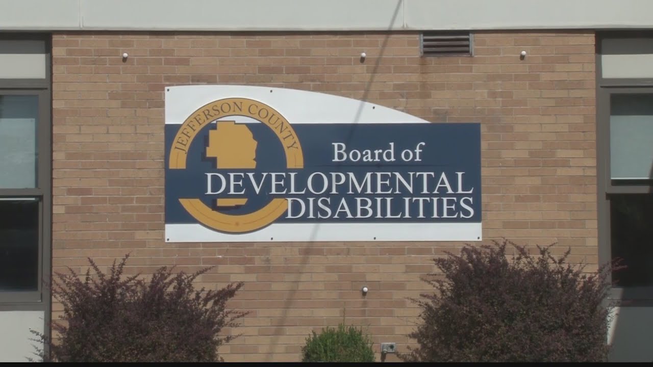 Caroline's Cart makes shopping a snap for special needs parents