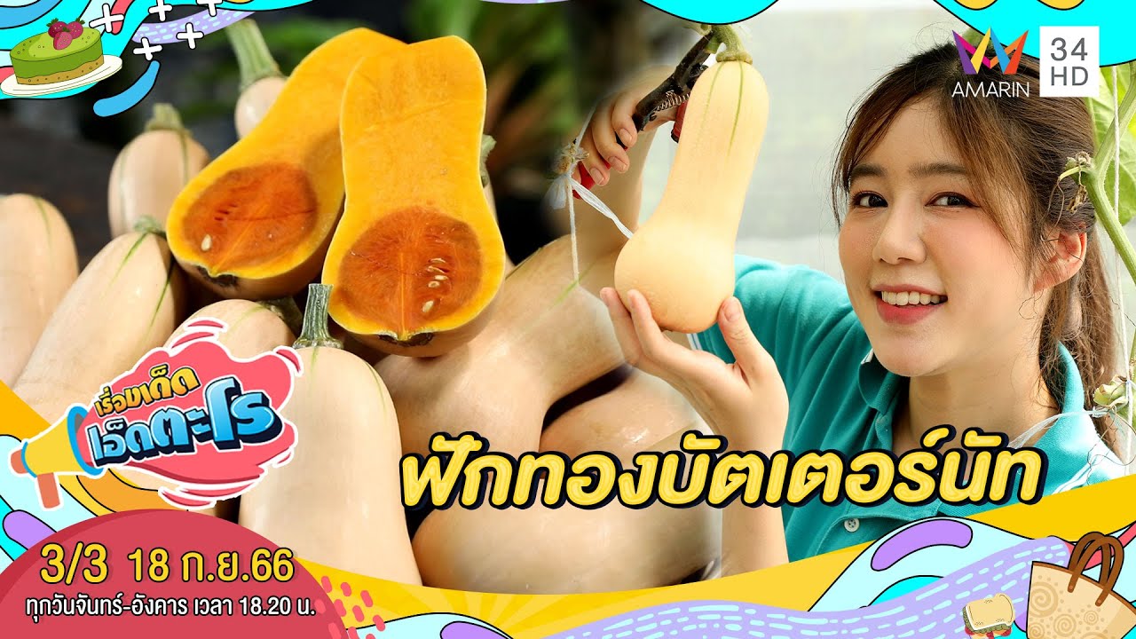 ฟักทองบัตเตอร์นัท จ.สระบุรี | เรื่องเด็ดเอ็ดตะโร | 18 ก.ย.66 (3/3)