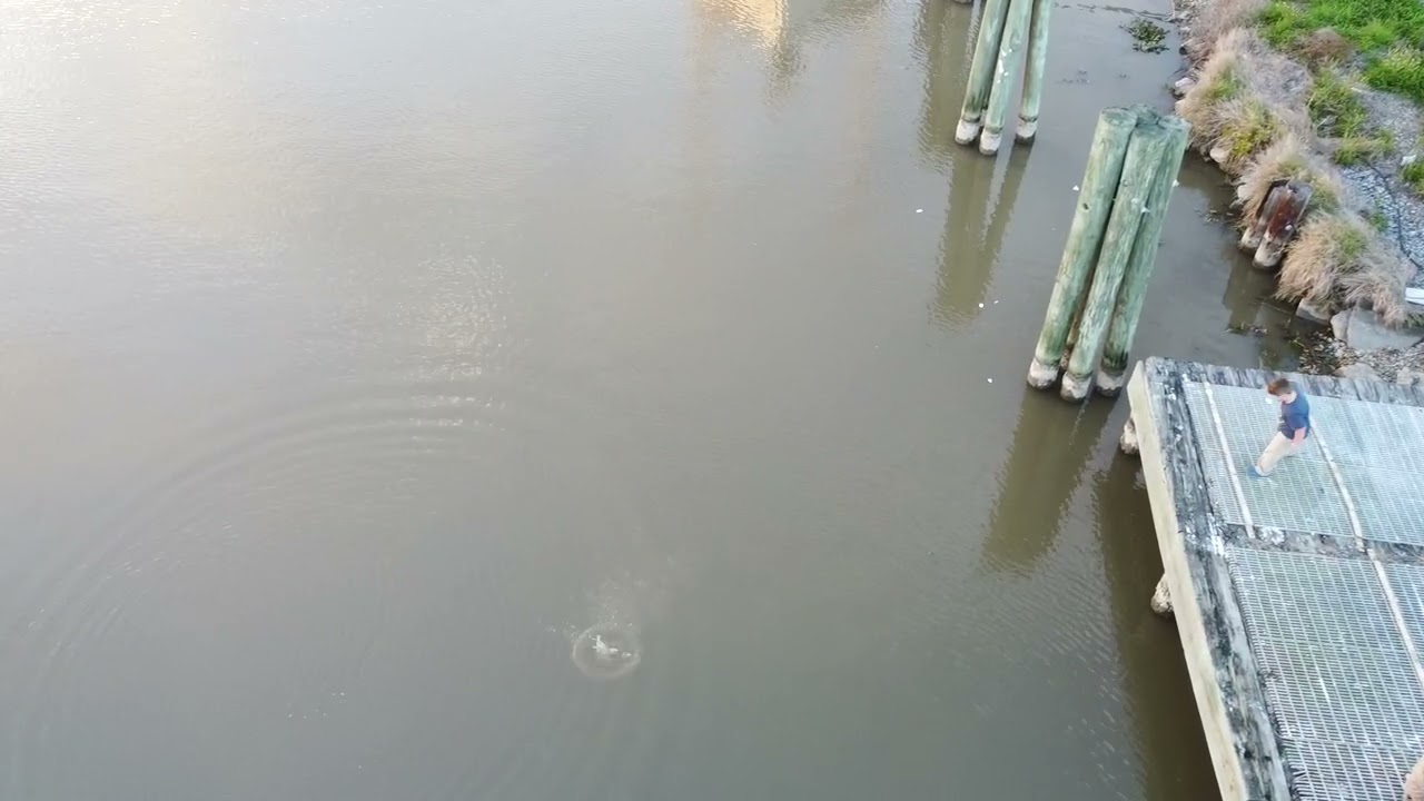 Throwing rocks