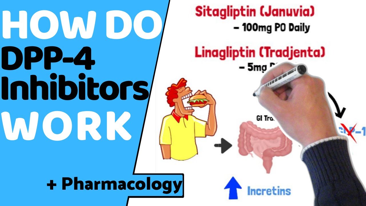 Как работают ингибиторы ДПП-4 (EASY Pharmacology)