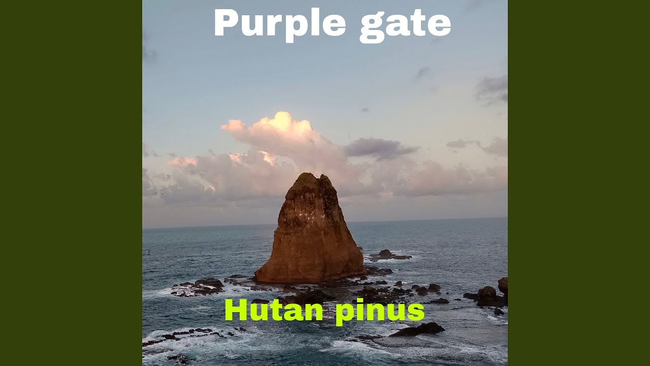 Hutan pinus