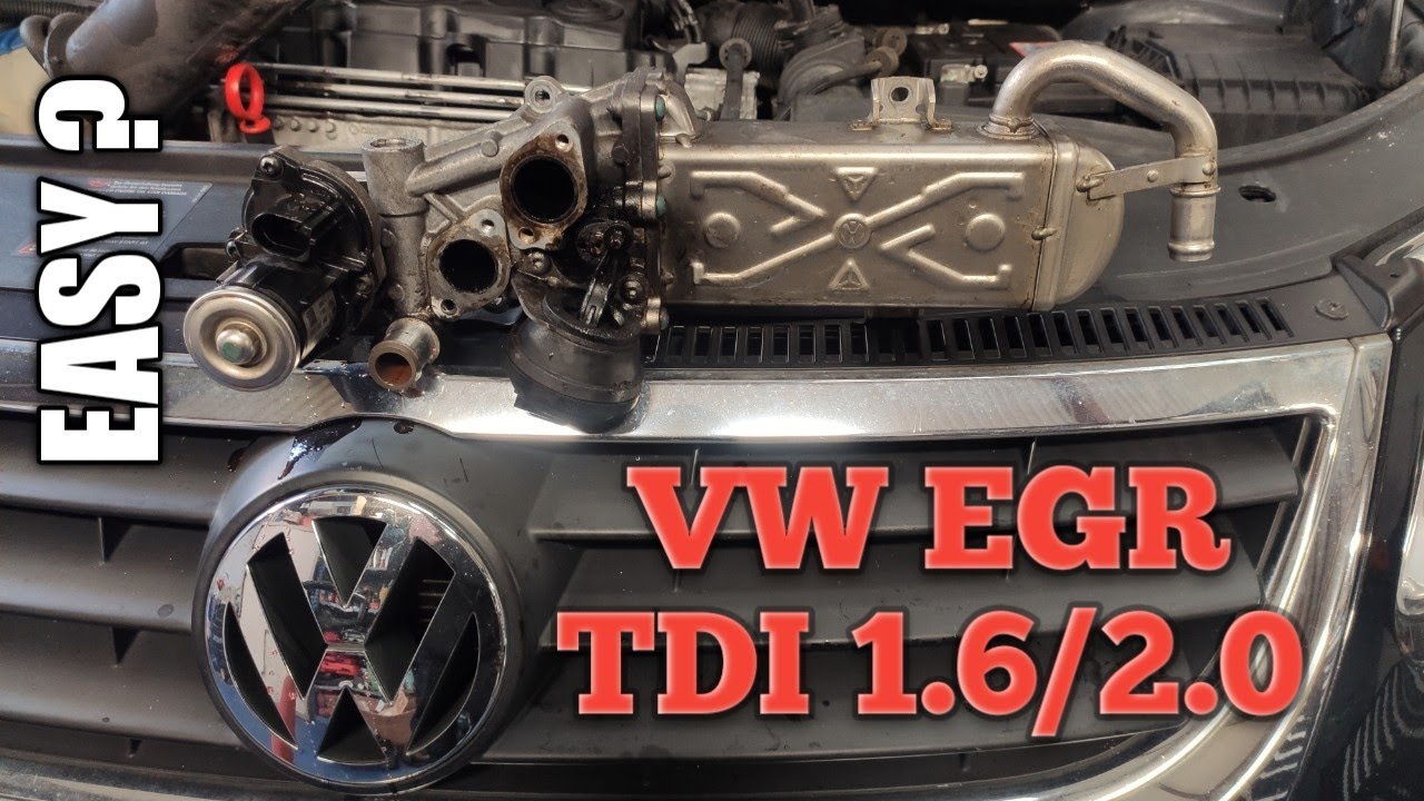 VW EGR 1.6 / 2.0 TDI  
