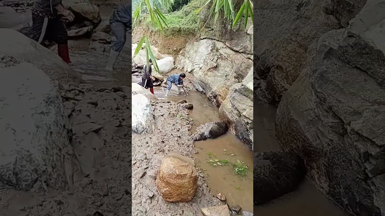 Đi bắt cá có sừng ở nơi khỉ ho cỏ gáy