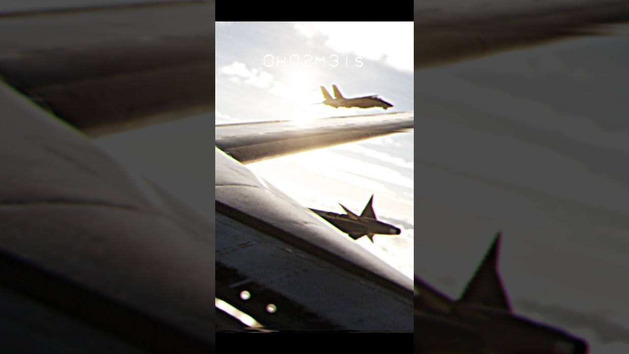 Tomcat on the wing! 
