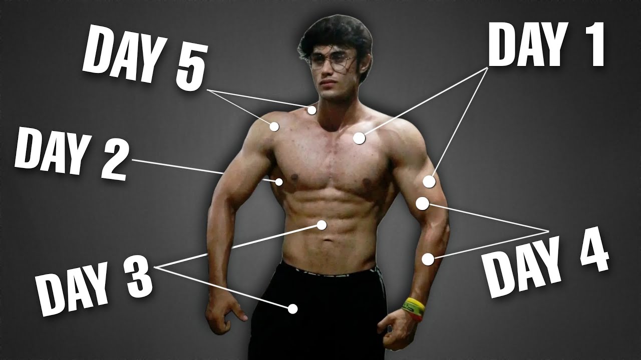 Best Workout Plan for Muscle Gain | FAST GROWTH