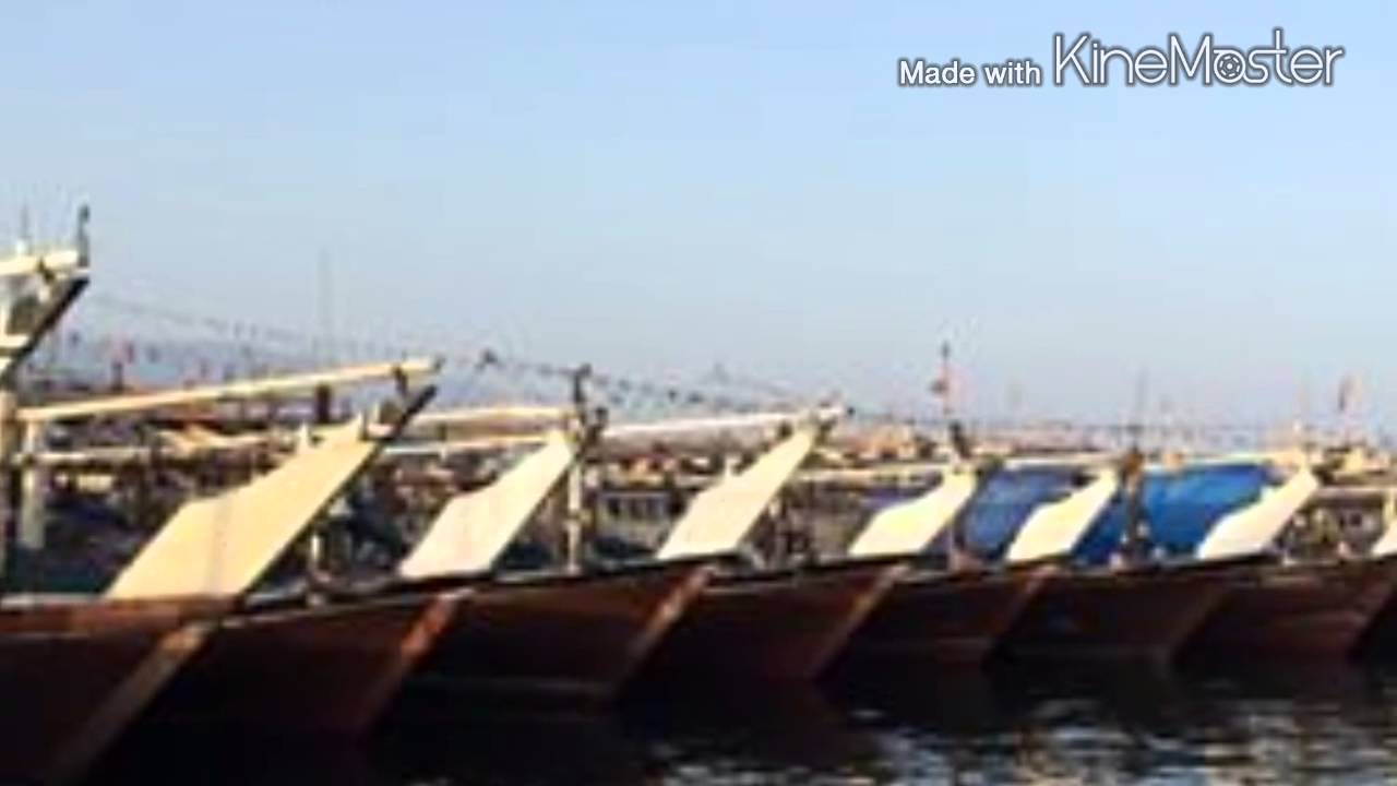 مرباط المجد