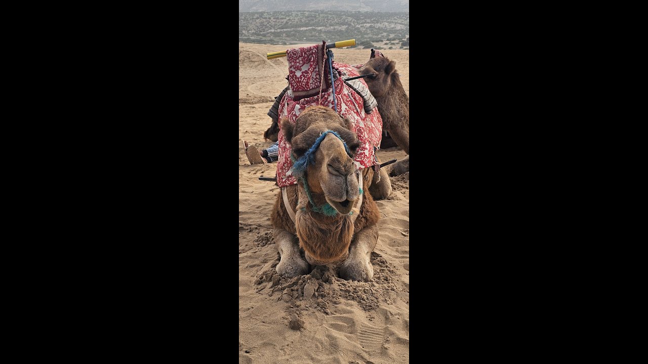 Visit to Morocco