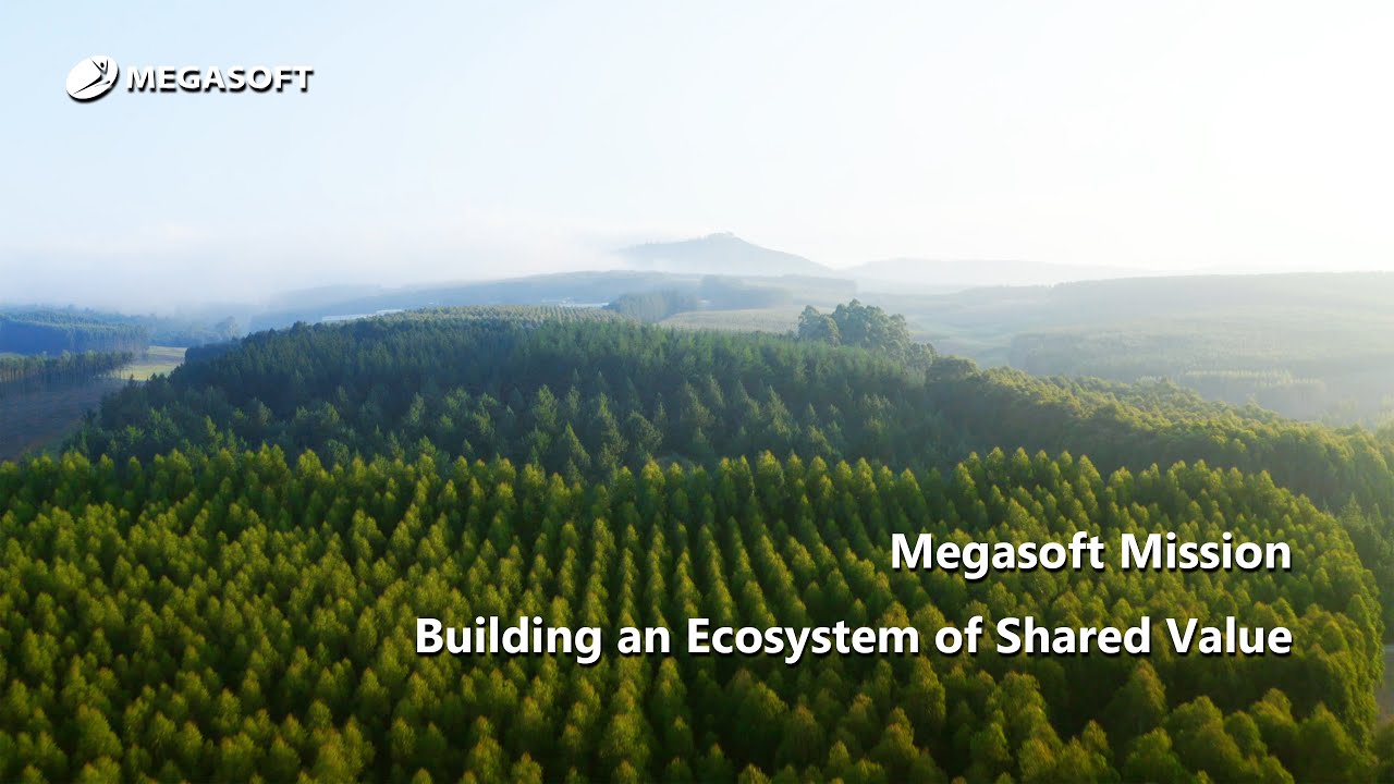 Megasoft Mission — Building an Ecosystem of Shared Value