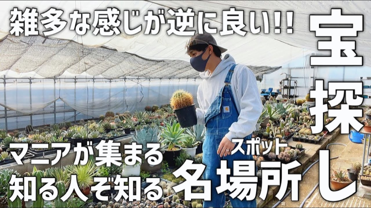 【多肉植物専門店】