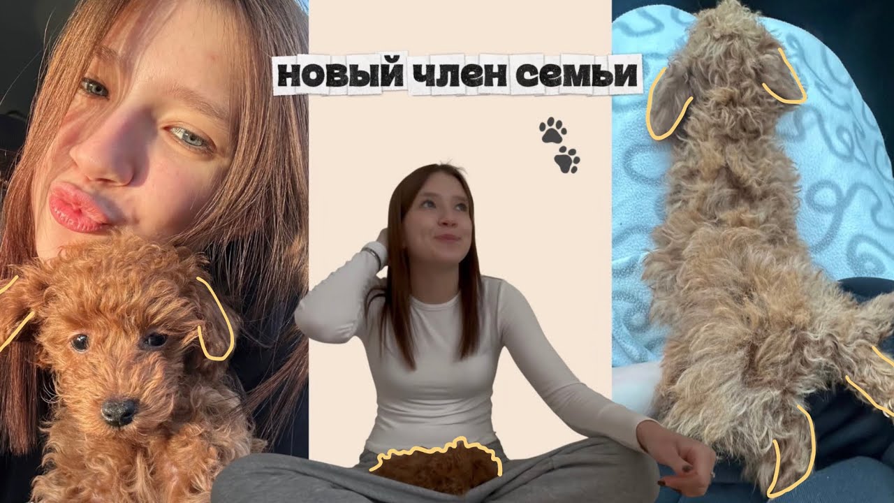 У МЕНЯ ПОЯВИЛАСЬ СОБАКА🐶