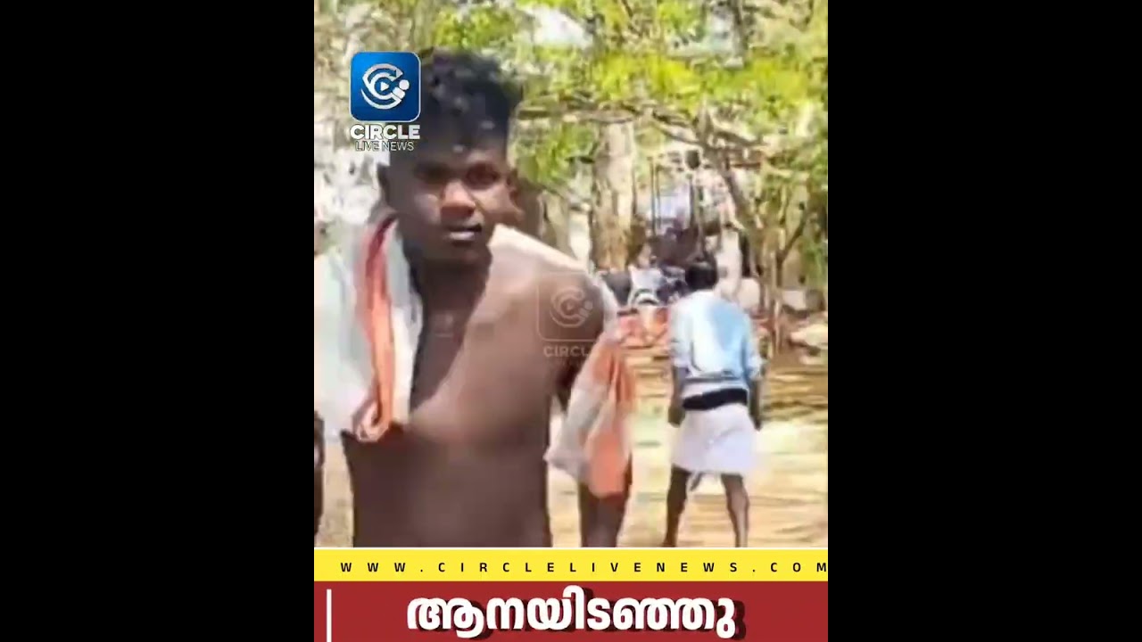 ഇരിഞ്ഞാലക്കുട പൊറത്തിശ്ശേരിയിൽ ആനയിടഞ്ഞു; പിങ്ക് പോലിസിൻ്റെ കാർ ആന കുത്തിമറിച്ചിട്ടു 