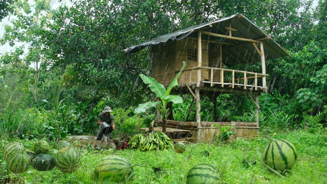 CAMPING PANEN BUAH SEMANGKA, RAMBUTAN CEMPEDAK,PETE,DURIAN DAN PANEN IKAN LELE 