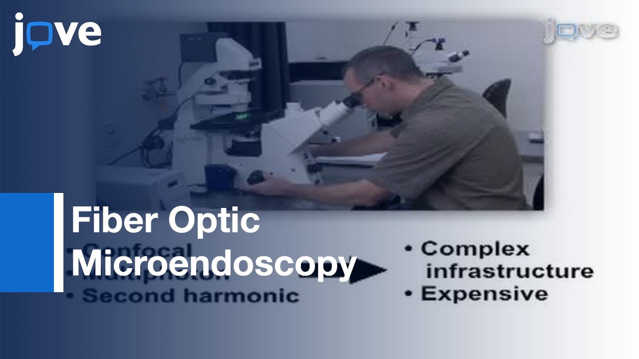 Fiber Optic Microendoscopy (High Resolution) For Cellular Imaging