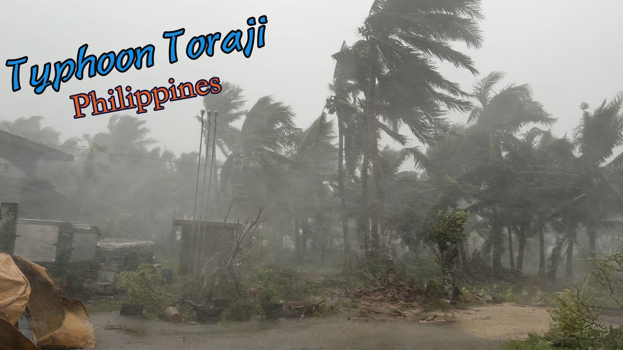 Typhoon Toraji (Nika) Strikes Aurora, Philippines 🇵🇭