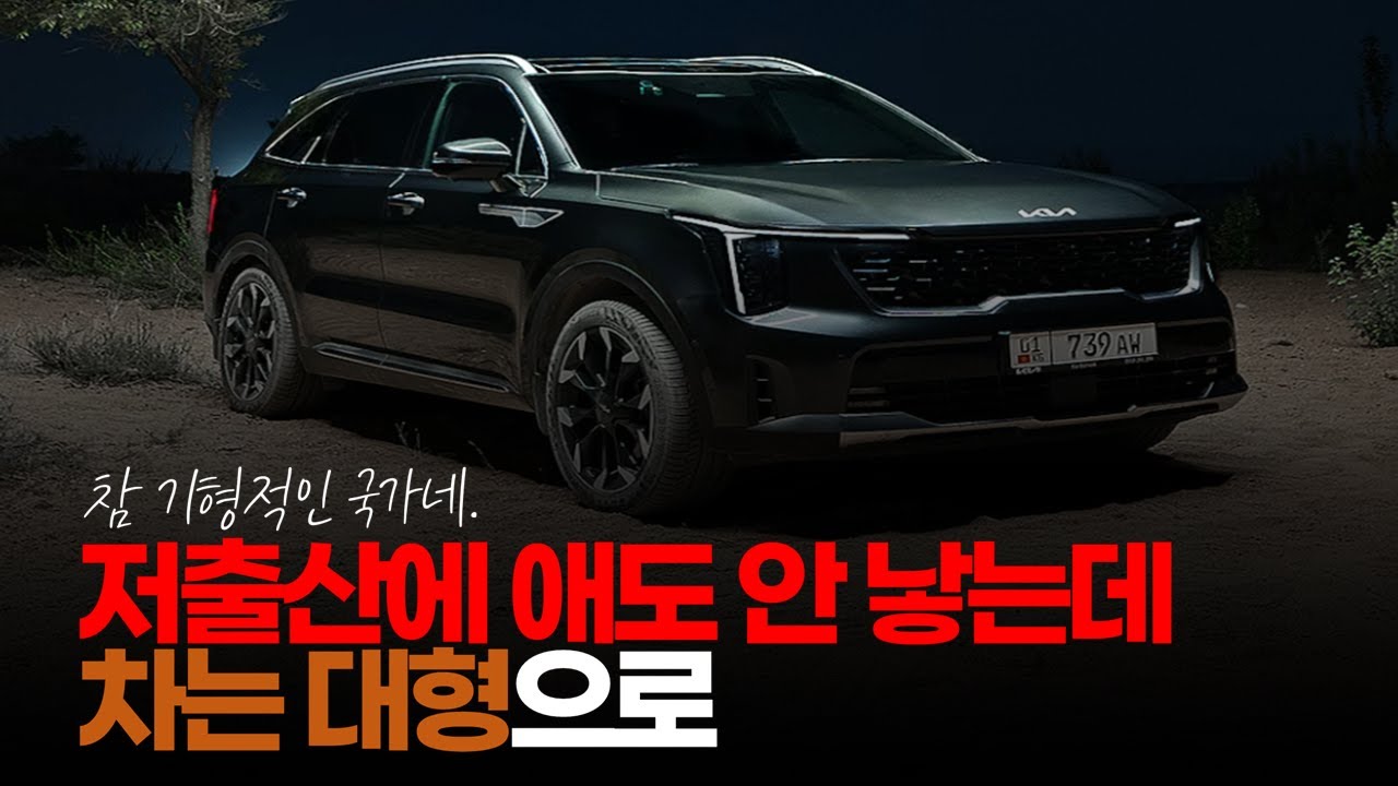 (※시청자댓글) 저출산에 애도 안 낳는데 차는 대형으로 가는 기형적인 국가죠. #자동차허세 #카푸어 #할부구매