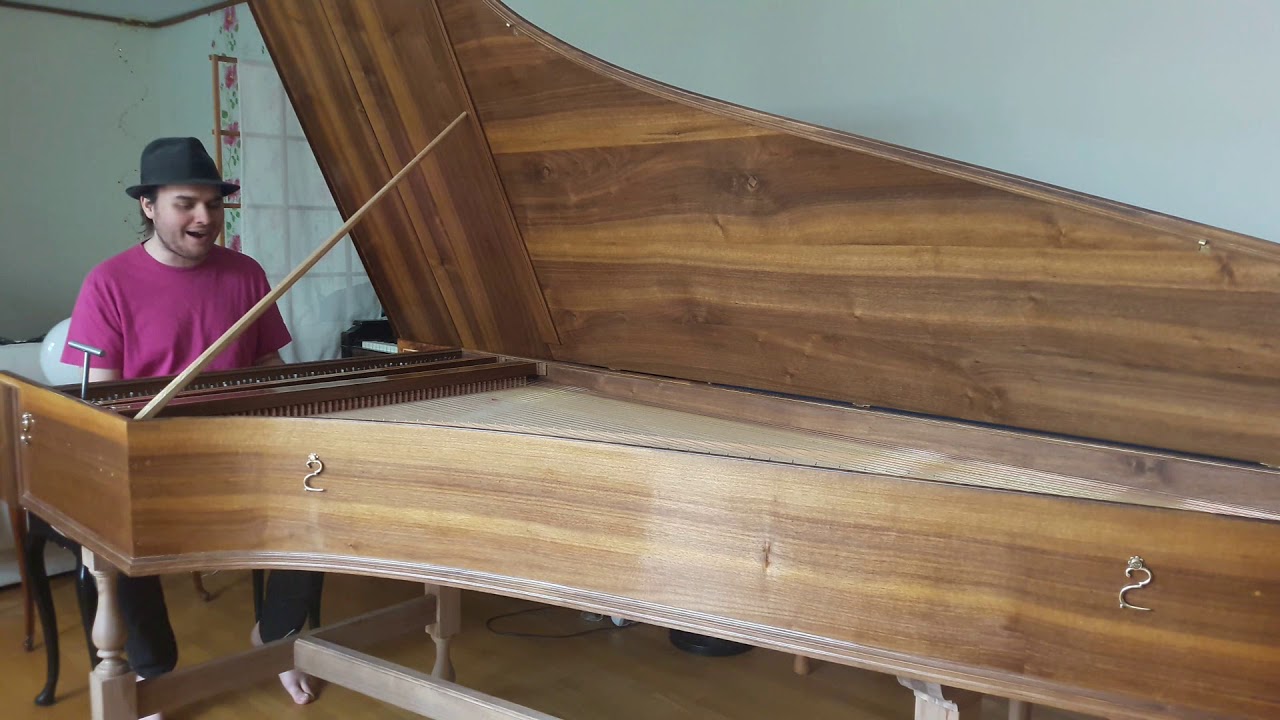 Focus - Hocus Pocus (cover on harpsichord by Jacob Kilstr&ouml;m)