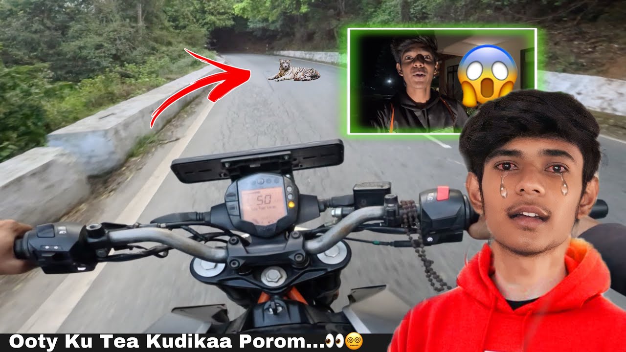 Ooty ku Tea Kudikaa Porom…🤣| Tiger Roaming 😨 | With Duke 250 & GT650🚀 |