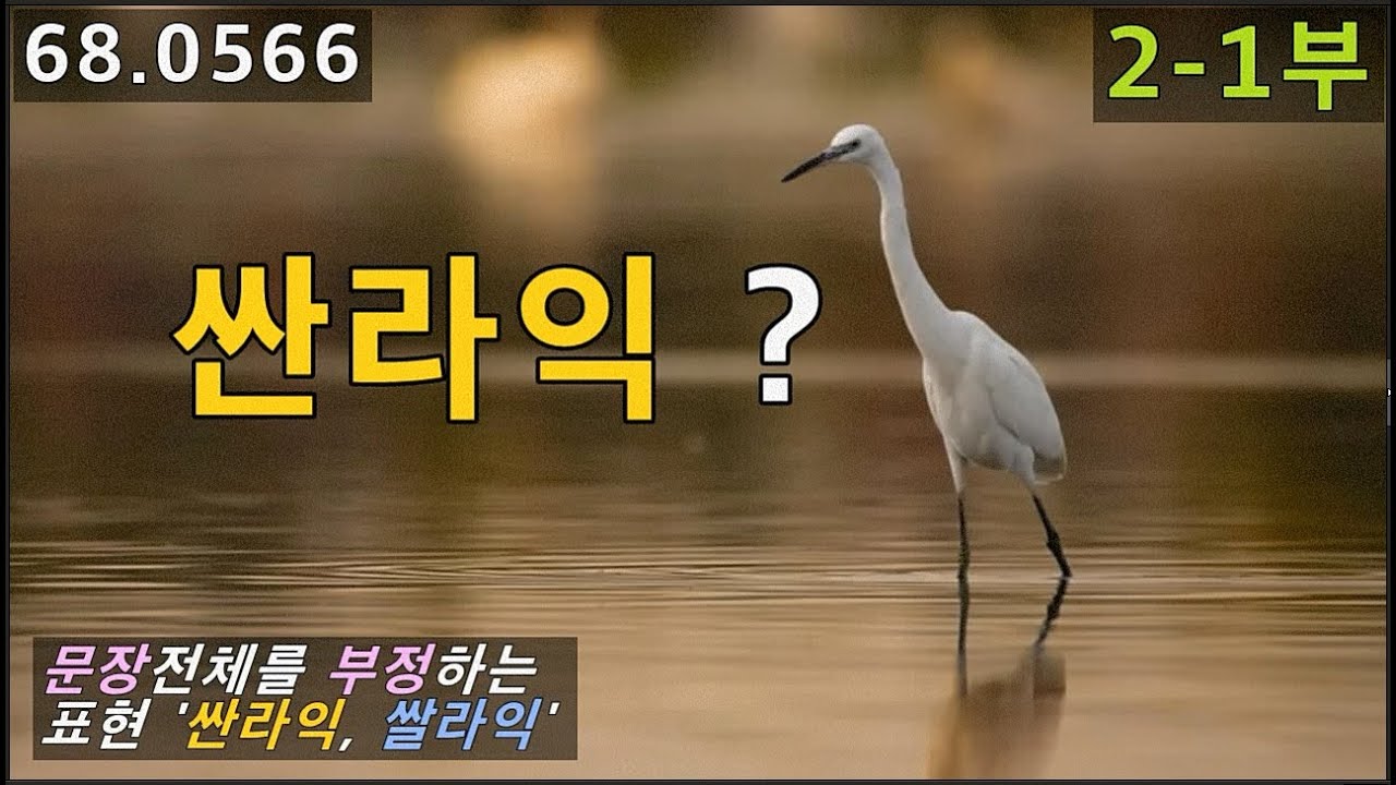 문장전체를 부정하는 표현 It's not like S+V, 68.0566, 운배영