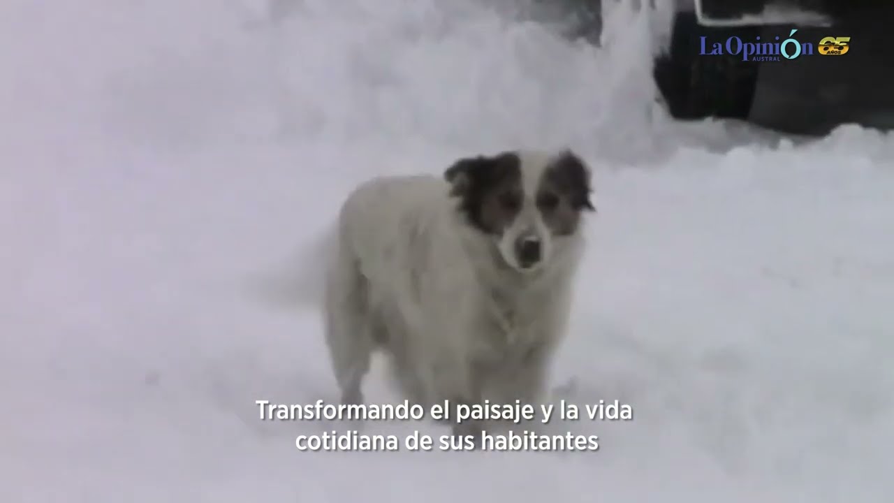 A 29 a&ntilde;os de la hist&oacute;rica nevada del &rsquo;95 en R&iacute;o Gallegos