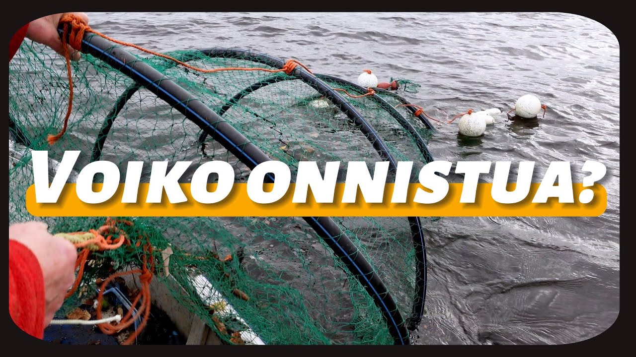 Rysän lasku