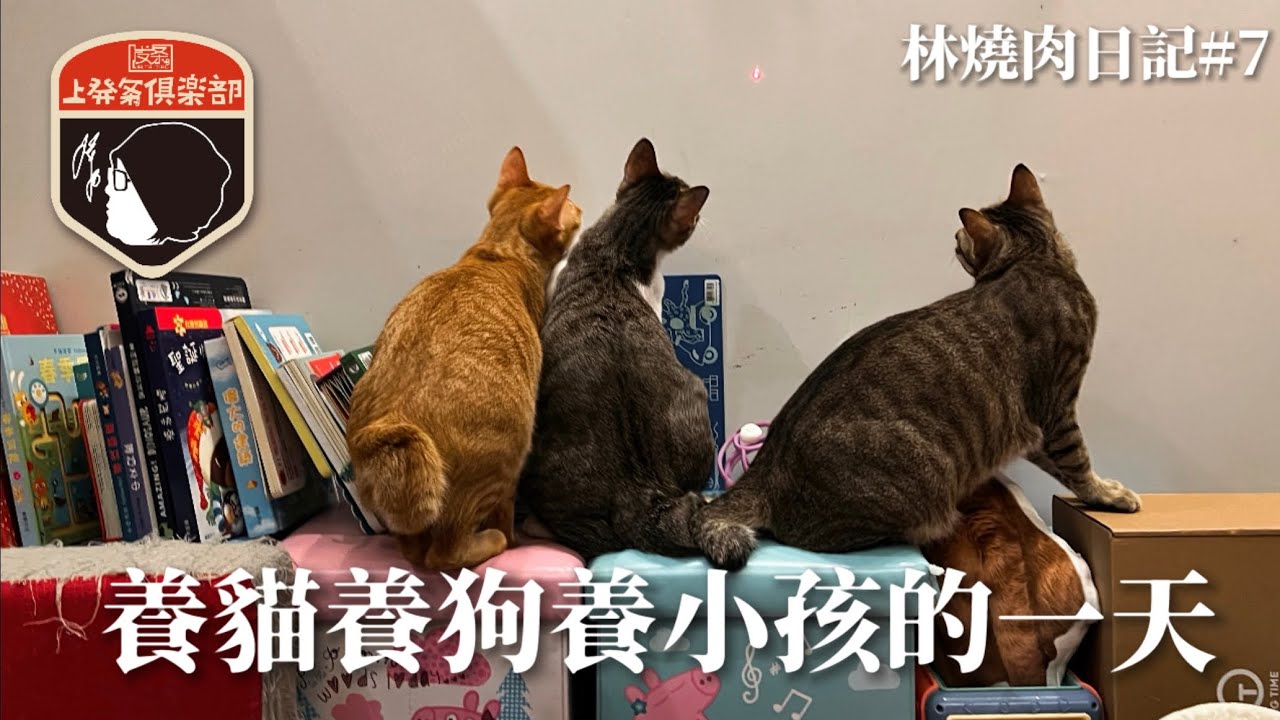 林燒肉日記#7_養貓養狗養小孩的一天